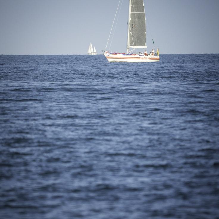Marine escapade
